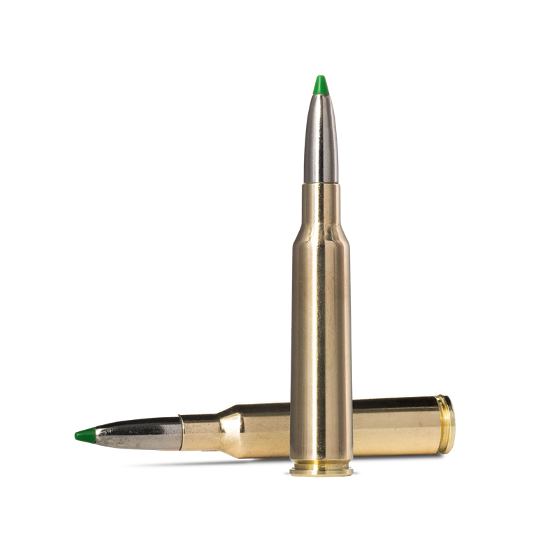 Norma Ecostrike 6,5*55