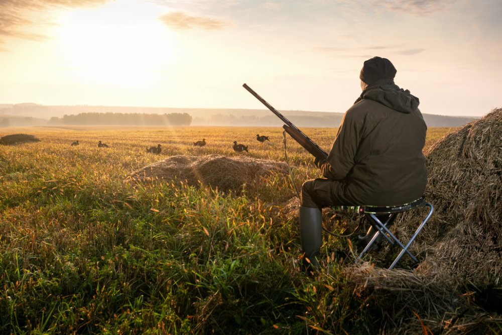 Nates siddepude camo M. varme