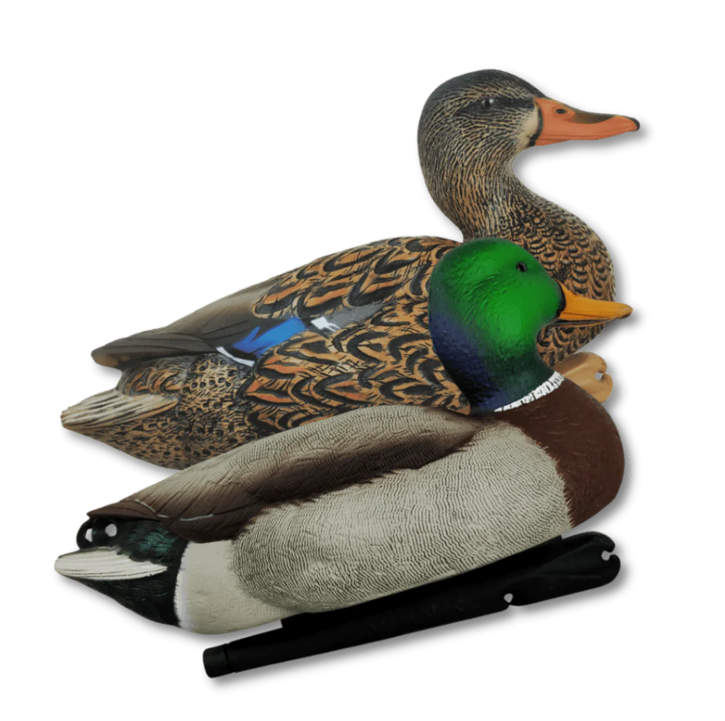 Avian Topflight 6 decoys